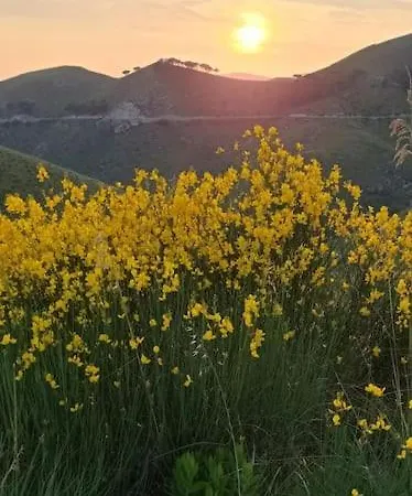 Mimosa Dağ evi *