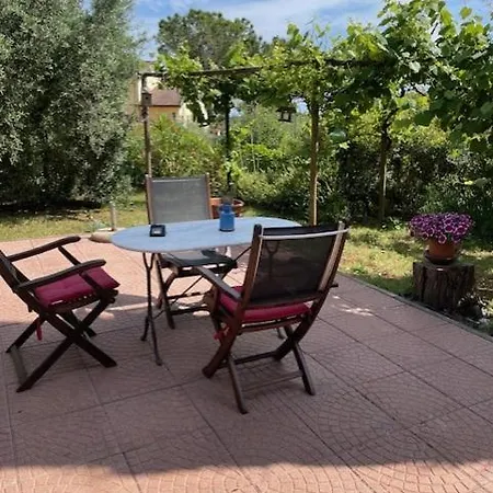 Mimosa Dağ evi