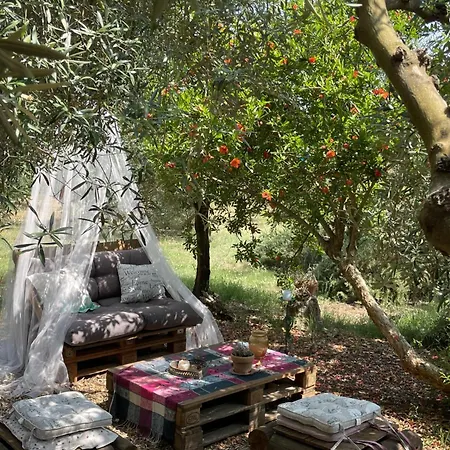 Mimosa Dağ evi *
