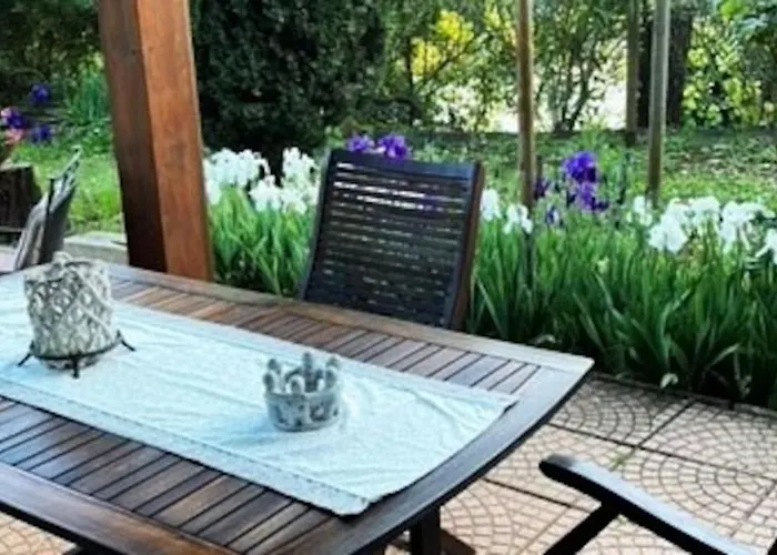 Mimosa Dağ evi